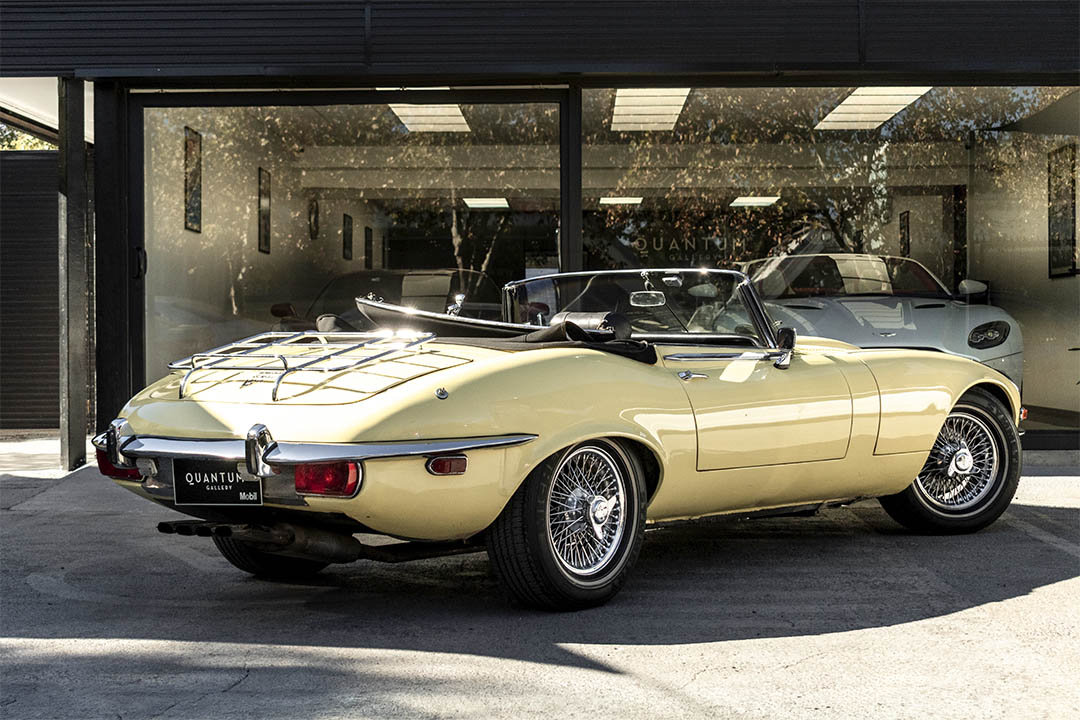 JAGUAR_0000_AFL_5650-Edit jaguar 30