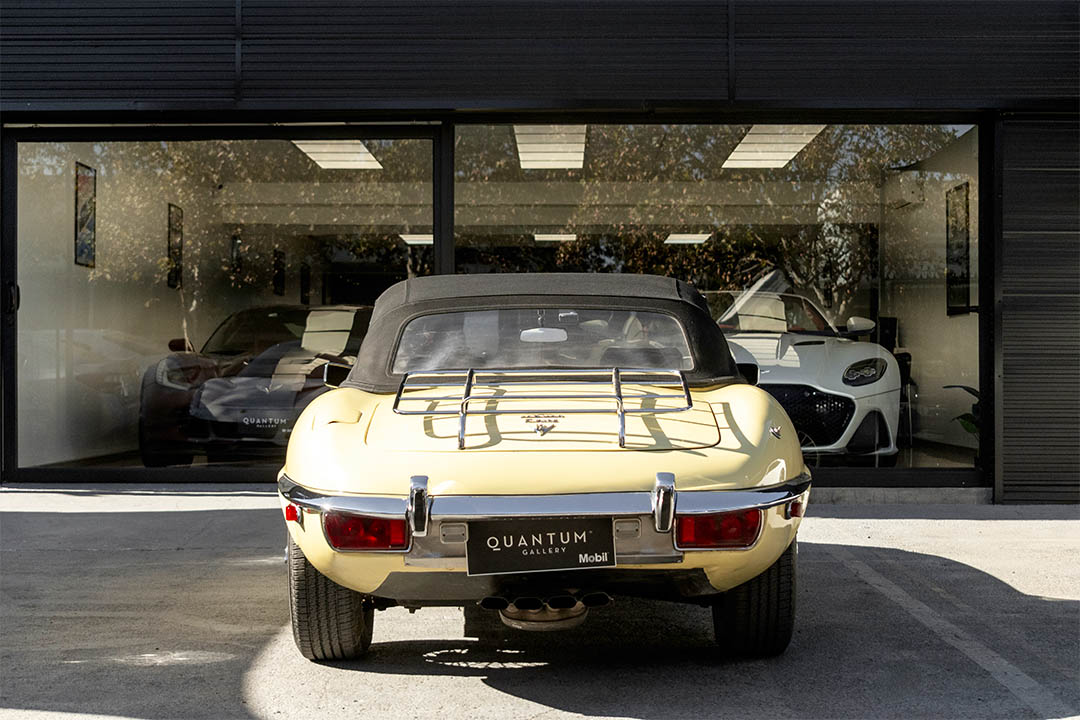 JAGUAR_0002_AFL_5617-Edit jaguar 28