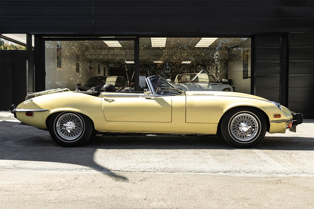 JAGUAR_0006_AFL_5591-Edit jaguar 24