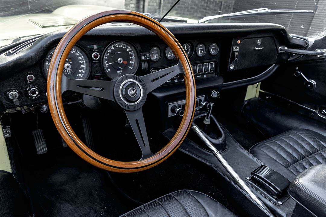 JAGUAR_0015_AFL_5546-Edit jaguar 17