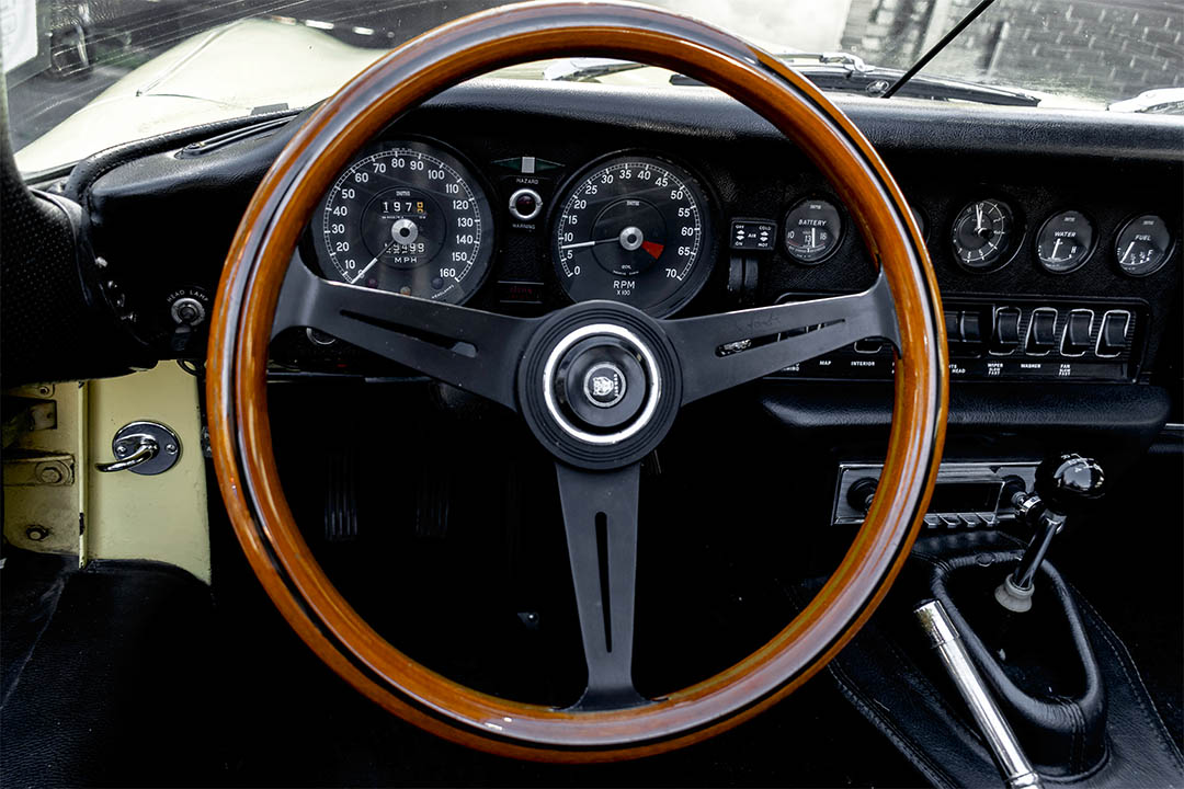JAGUAR_0016_AFL_5545-Edit jaguar 25