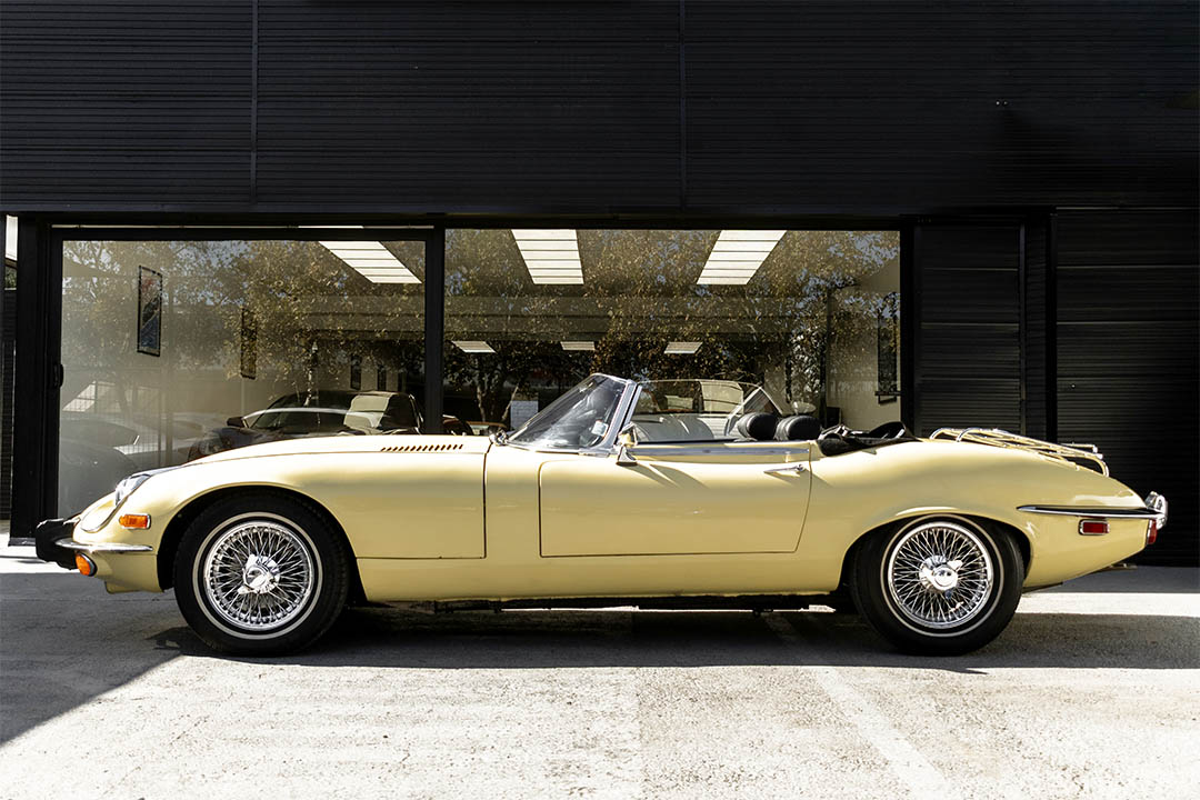JAGUAR_0017_AFL_5544-Edit jaguar 24