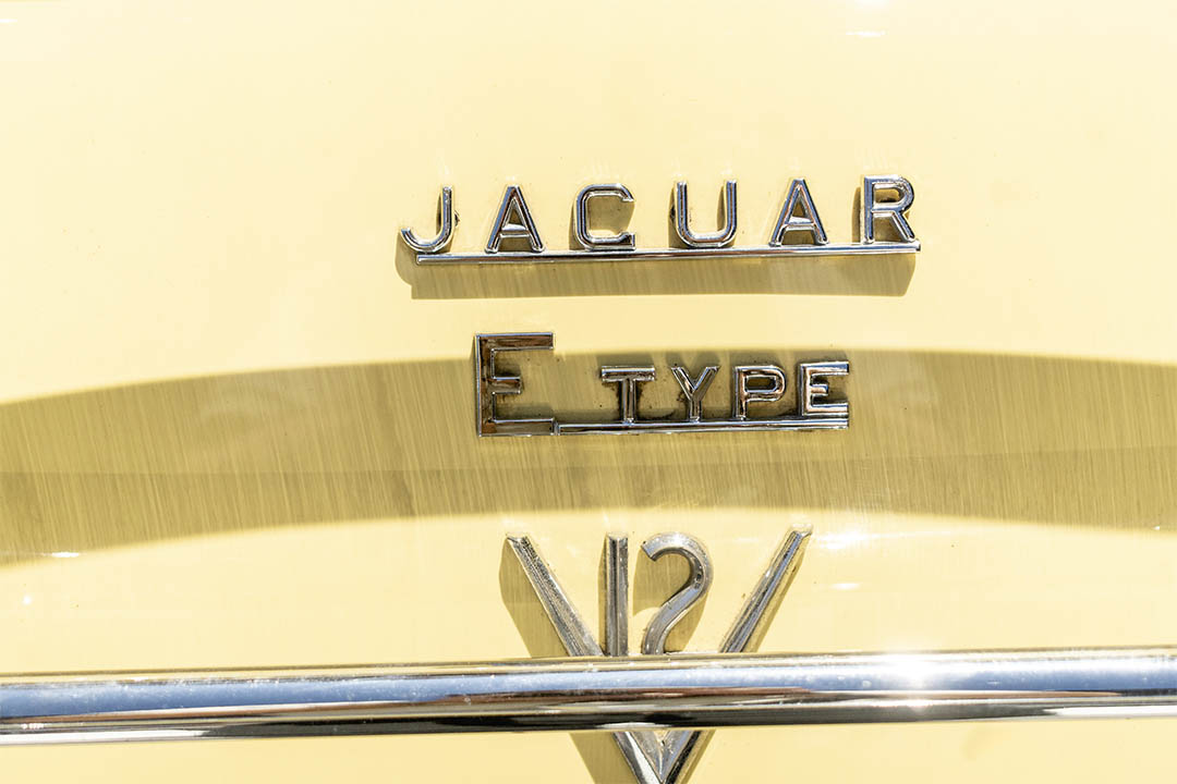 JAGUAR_0019_AFL_5523-Edit 13