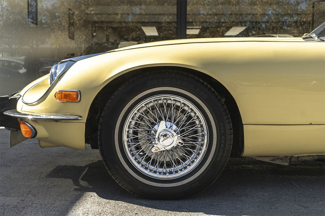 JAGUAR_0022_AFL_5514-Edit 10