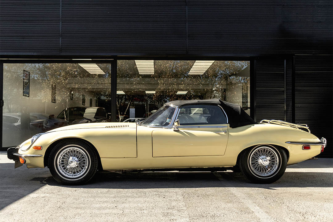 JAGUAR_0023_AFL_5512-2-Edit jaguar 9