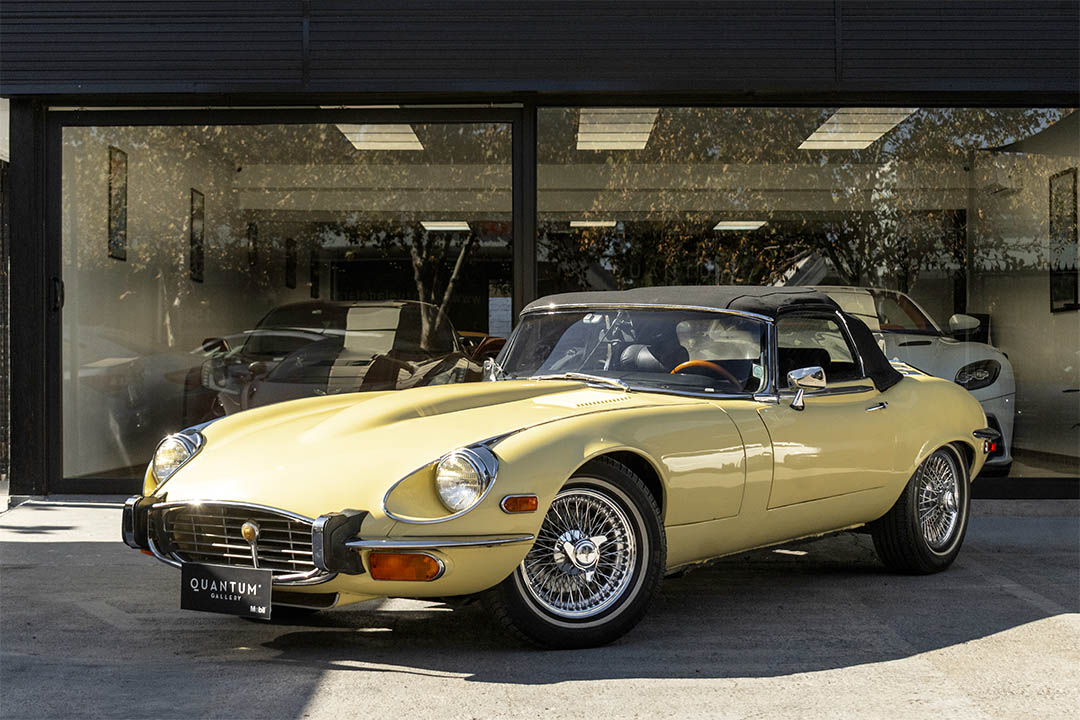 JAGUAR_0024_AFL_5509-Edit jaguar 4