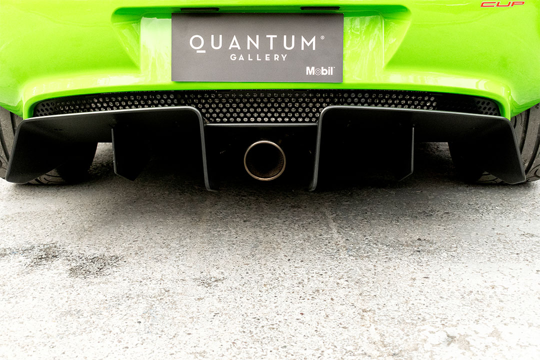 lotus-1_0009_AFL_6402-Edit lotus 12