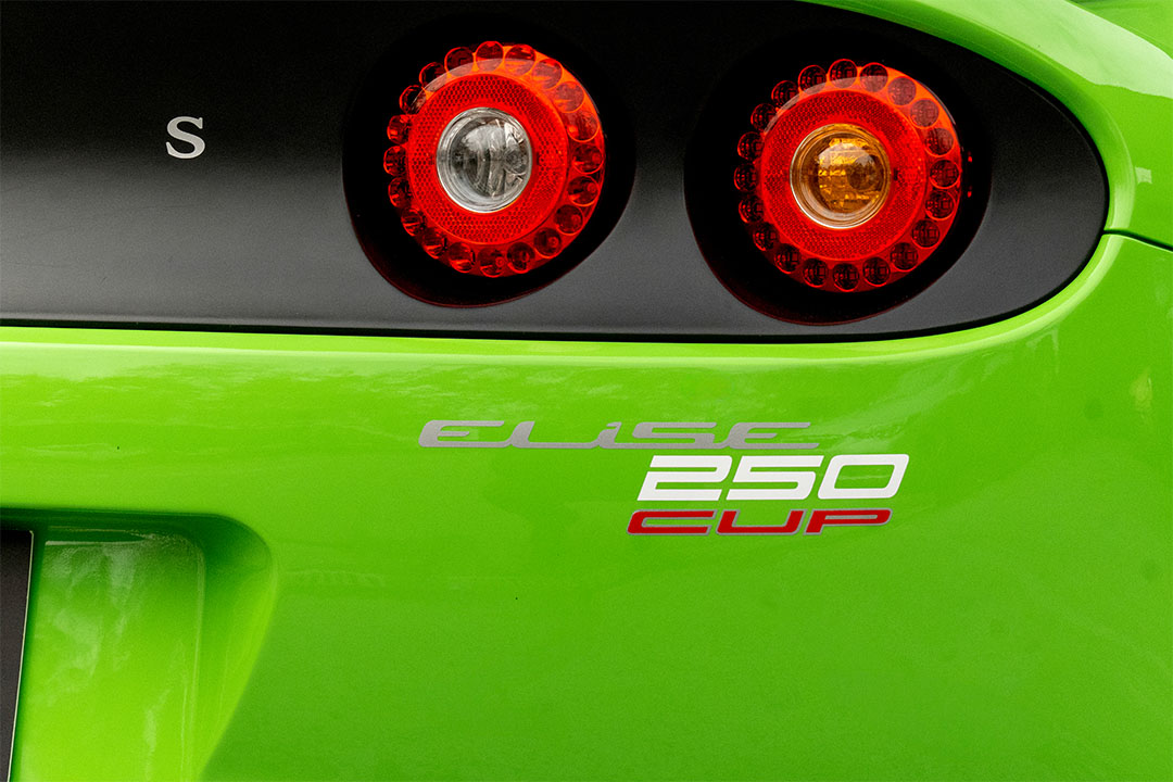 lotus-1_0010_AFL_6401-Edit lotus 11