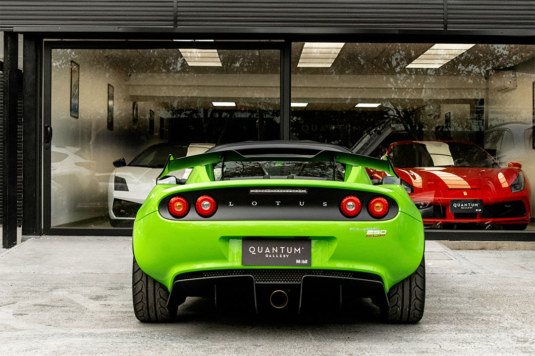 lotus-1_0011_AFL_6399-Edit lotus 10