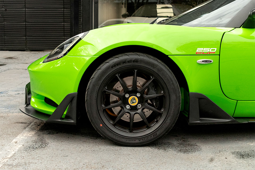 lotus-1_0020_AFL_6377-Edit lotus 22